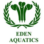 EDA